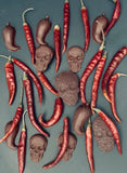 habanero-chili-chocolate